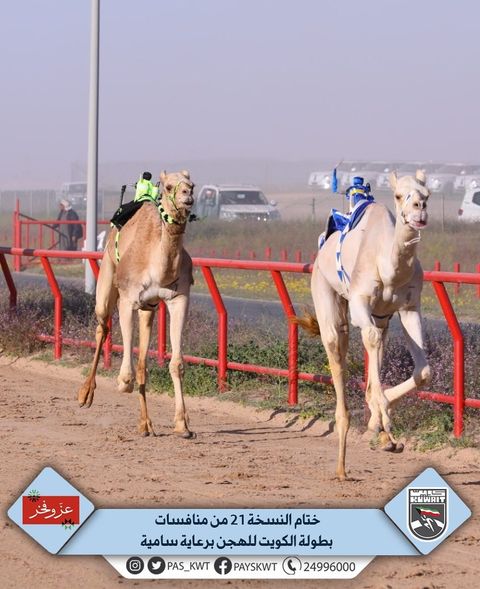 بطولة الكويت الدولية للهجن