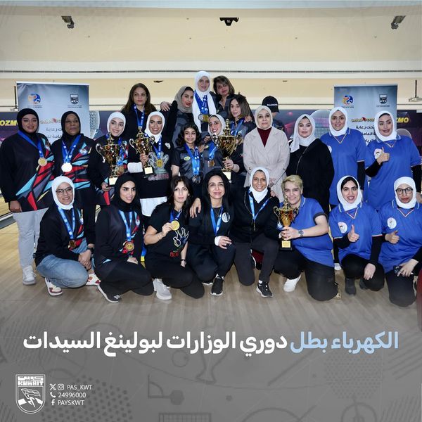 دوري الوزارات والهيئات والمؤسسات