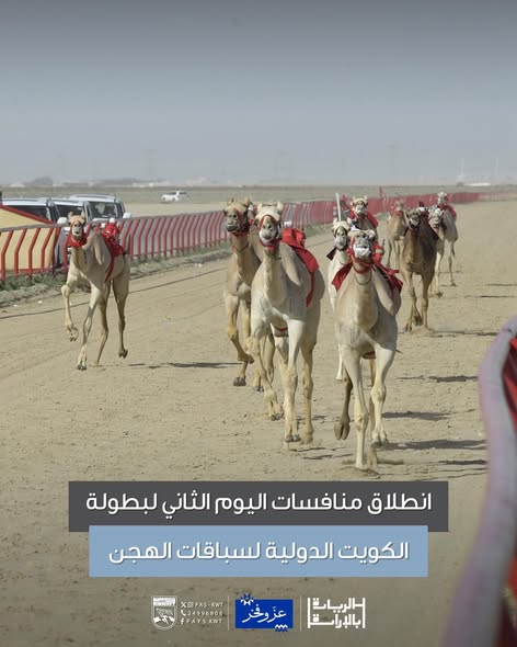 بطولة الكويت الدولية السنوية لسباقات الهجن