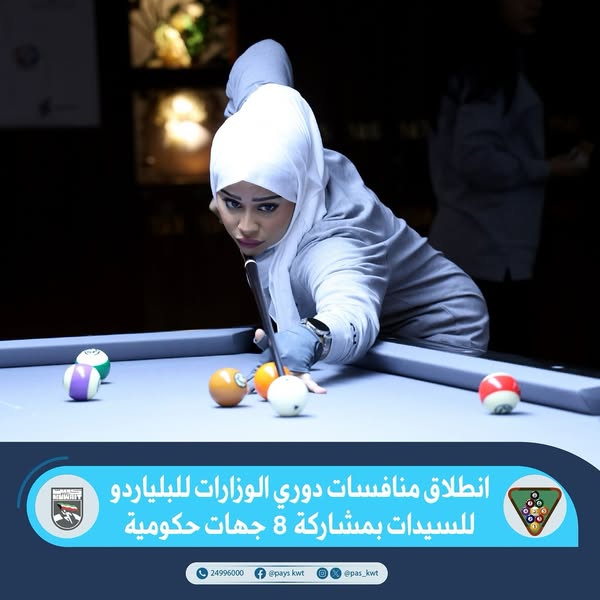 دوري الوزارات والهيئات والمؤسسات الحكومية للبلياردو