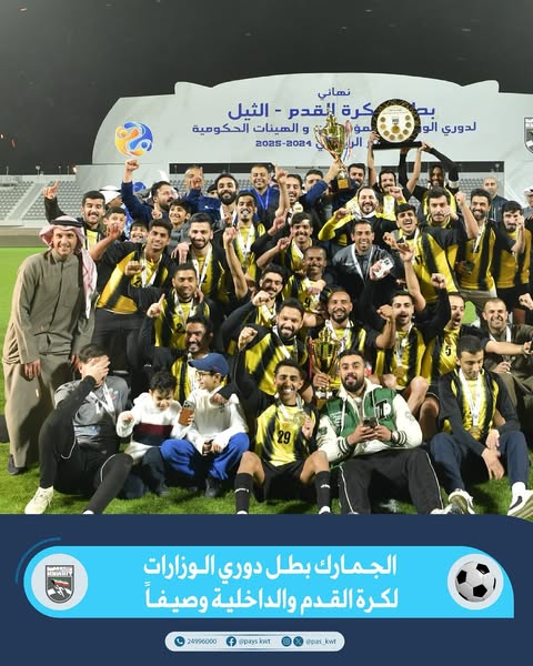 دوري الوزارات والهيئات والمؤسسات الحكومية