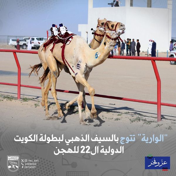 ختام منافسات سباقات الهجن